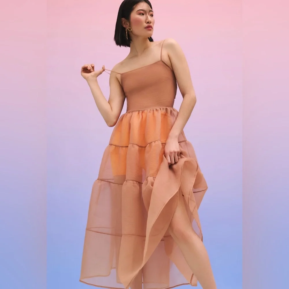 NWT Anthropologie oh seven days Lucille tiered sheer dress midi size xs organza - Picture 3 of 3